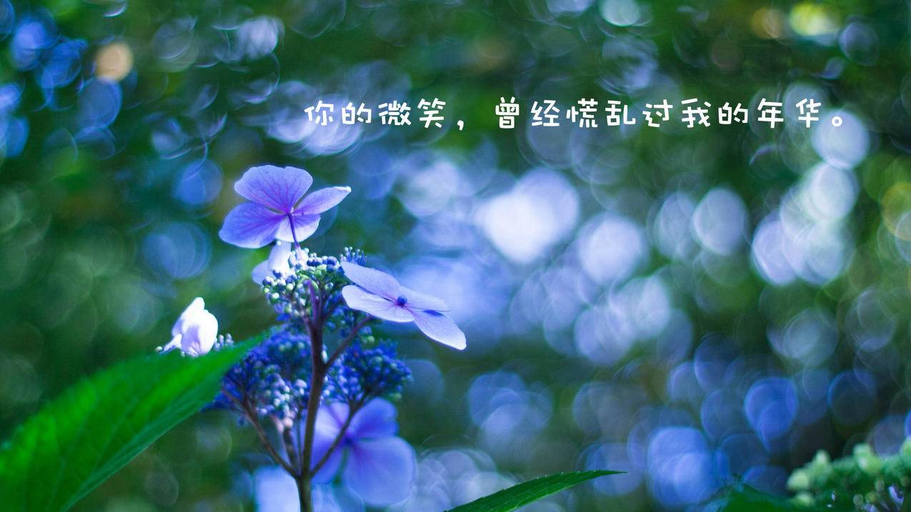 客服主管王小华